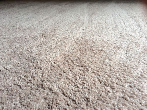 Plush Carpet Installation in Pleasanton