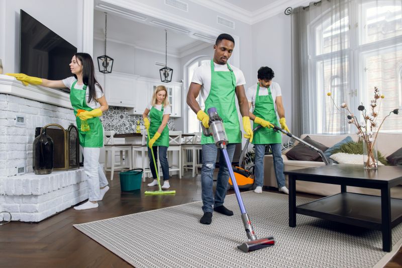 Eco-Friendly Cleaning Options